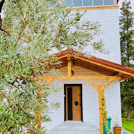 فيلة Splendid And Peaceful Chalet With Nature View In Iznik, Bursa Esadiye