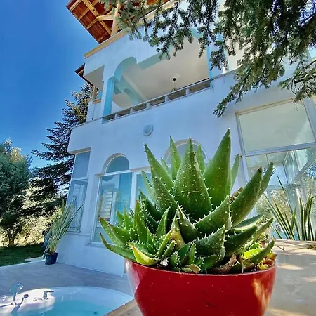 Splendid And Peaceful Chalet With Nature View In Iznik, Bursa *